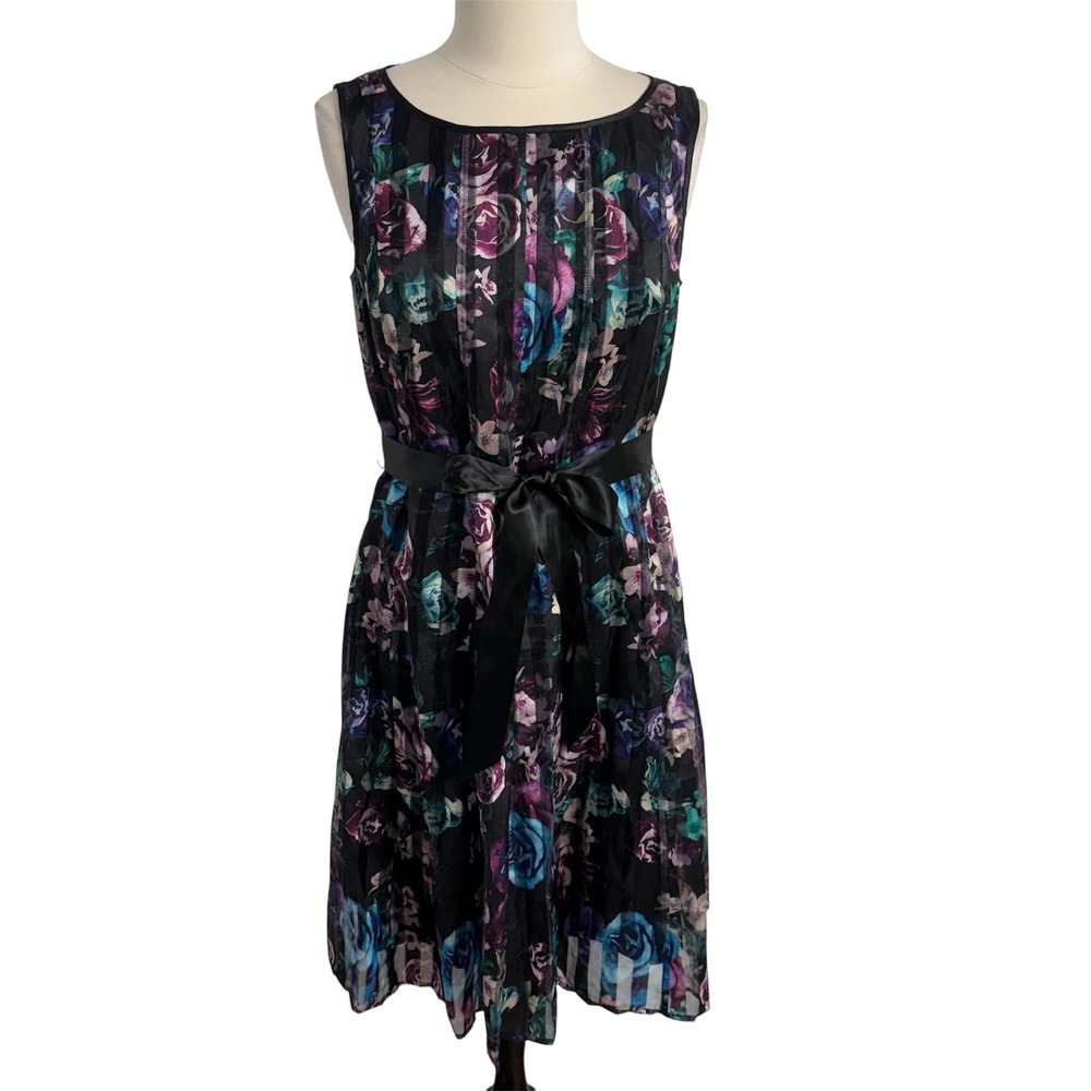 CB Established 1962 Women's Sleeveless Floral Striped Organza Dress